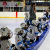 Tournoi de hockey les lynx U9_octobre 25 Patrick Vidal   (20)