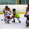 Tournoi de hockey les lynx U9_octobre 25 Patrick Vidal   (37)